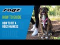 How to Fit a ROGZ Harness