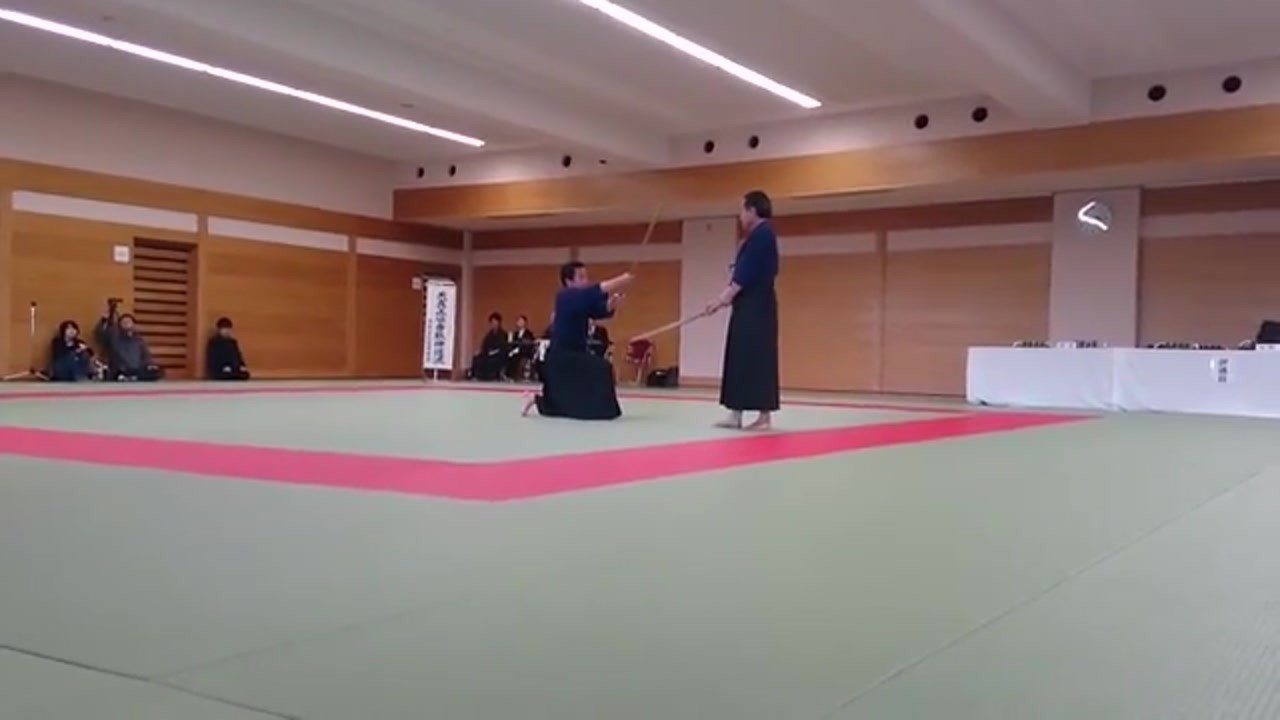 Tenshin Shoden Katori Shinto Ryu Part 1, Asakusa Riverside 2016