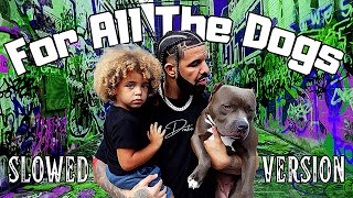 Drake - Gently (For All The Dogs) ft. Bad Bunny [Slowed Down + Reverb] Visualizer