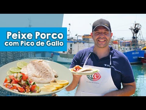 Vídeo: Os peixes-porco do picasso são agressivos?