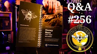 Backyard Beekeeping Questions and Answers Episode 256 it's time to super up!