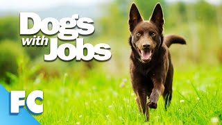 Dogs With Jobs | S4E13: Beauty, Cinder & Blaze | Full Animal Documentary TV Show | FC