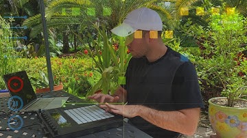 Learning Finger Drumming | Melodics Progress, Week 4