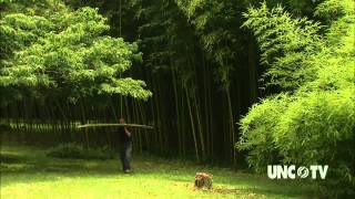 Haiku Bamboo Nursery