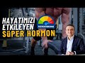 Testosteron; sadece kas yapmıyor, hayata da bağlıyor | Dr. Mehmet Portakal