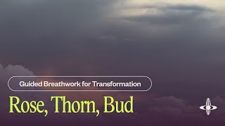 Rose, Thorn, Bud | Breathwork for Transformation (8 minutes)