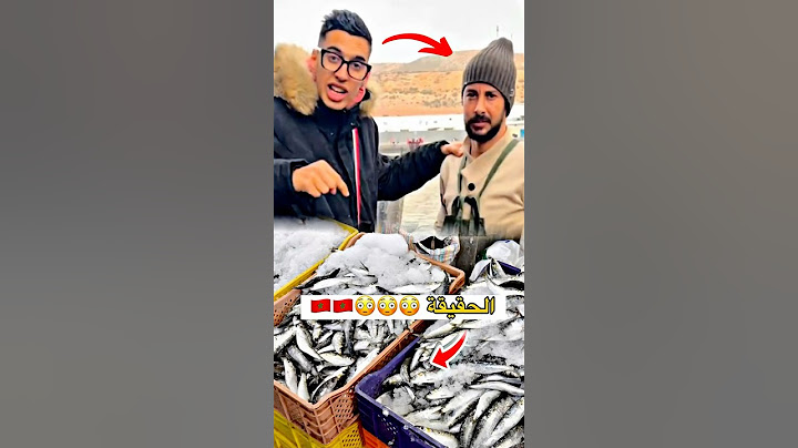 عبد الاله مول الحوت مع بحار مغربي يكشف حقيقة السردين في المغرب 🇲🇦🫡✌🏻