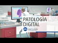 Patologa digital de smart in media