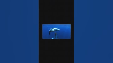 الشيخ محمد صديق المنشاوي  - [هذا خلق الله فأروني ماذا خلق الذين من دونه] - سورة لقمان - ALMENSHAWI