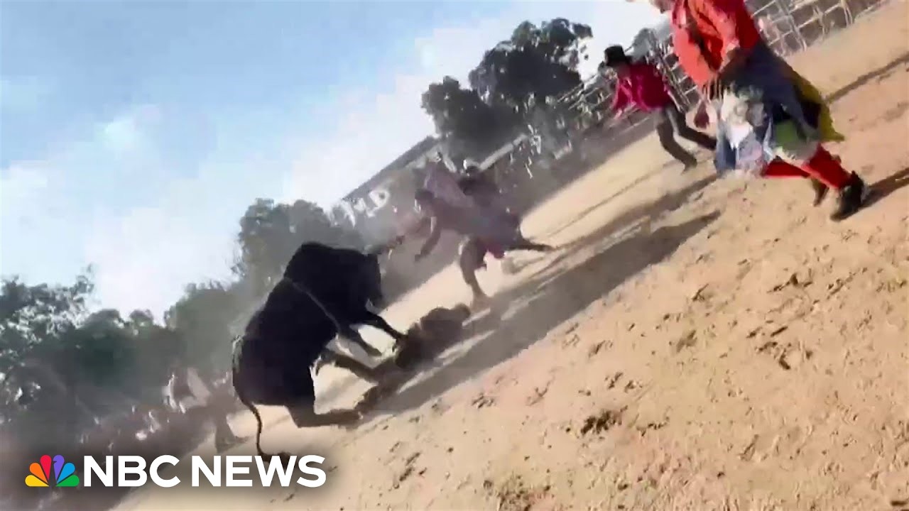 Video shows bull rider tossed and trampled at Bronx rodeo
