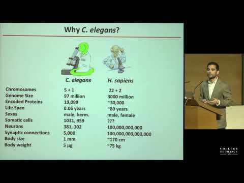 Microbiota, Nutrition and Metabolism (14) - Philippe Sansonetti (2013-2014)