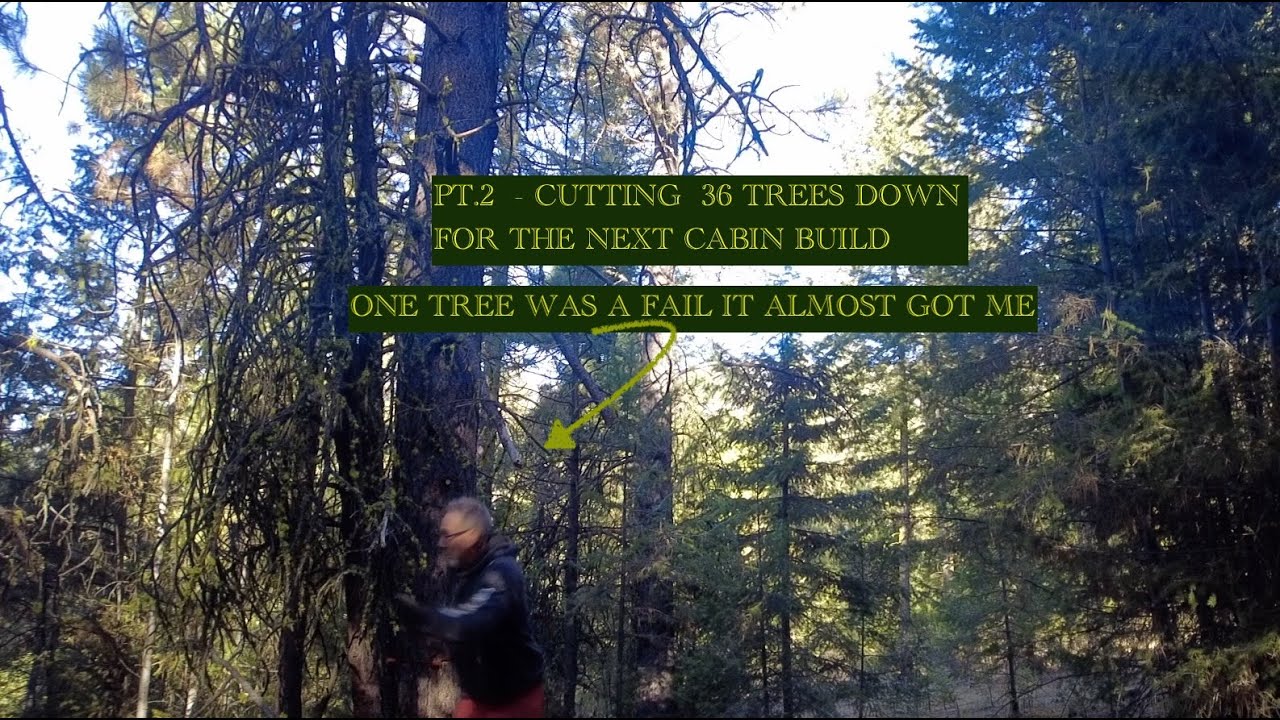 I have to cut down a total of 36 trees January 5,( Part 2) - YouTube