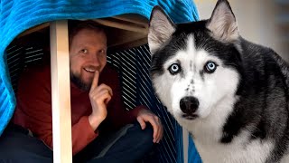 Playing Hide and Seek with My Dogs! Hiding From My Husky In *NEW HOUSE*