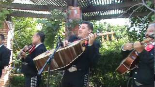 Video thumbnail of "Mariachi Halcones De Jalisco - Puno De Tierra"