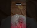 |beshak hakikat hai | Allah ny quran main har dhuk taklif ka haal rhka hai #guess #islamicstatus