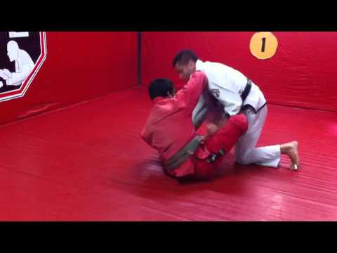 Ricardo Vieira Live Guard Passing