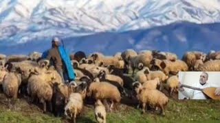 De Lo Lo Şivano Dılo Cano Bana Ayit Kılam Kanala Abone Olun Lütfen