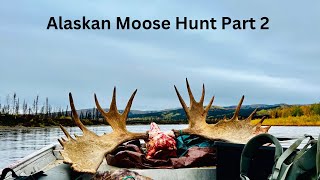 Alaska Moose hunt part 2