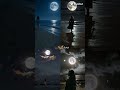 كوني القمر أنتي ضوي ع مملكتي عاصي الحلاني اكسبلور