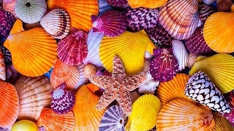 Amazing Patterns in Nature   part 2