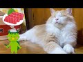 猫って本当に魚が好きなのか自分のつまみを犠牲にあげてみた【ぽしゃっけ】