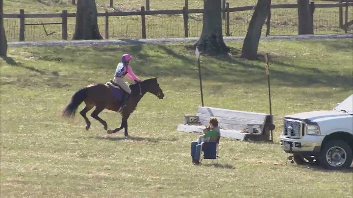 Holly Greenleaf   "Abbey Road"  Morven Park Horse ...