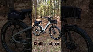 Stellar Falcon 2026 Upgrades #ebike