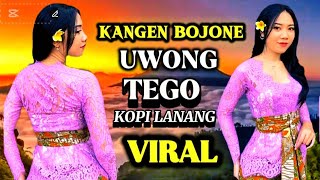 🎧 KOPI LANANG _KANGEN BOJONE UWONG ⁉️ LAGU TERBARU OSING BANYUWANGIAN_ ENAK DIDENGERIN OBAT SETRES 🎧 KOPI LANANG _KANGEN BOJONE UWONG ⁉️ LAGU TERBARU OSING BANYUWANGIAN_ ENAK DIDENGERIN OBAT SETRES