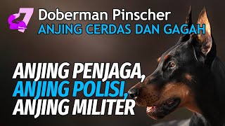 HISTORY AND FACTS OF THE DOBERMAN PINSCHER