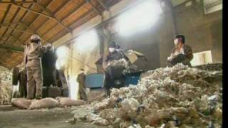 How Plastic Bottles Are Recycled Into Polyester