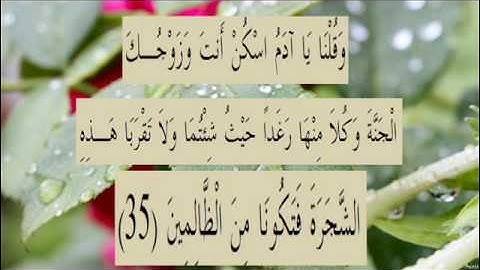 القران الكريم سورة البقرة الاية 35