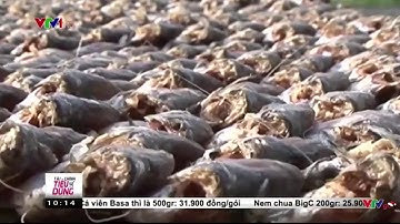 Tin Tức VTV24 - Ngày 03/01/2017: Làng Nghề "Khô Cá Bồi" Tại Cà Mau Vào Vụ Tết