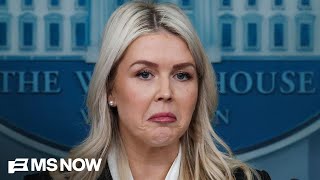 General B.s. From Leavitt About Iran Is Unfortunate Steele