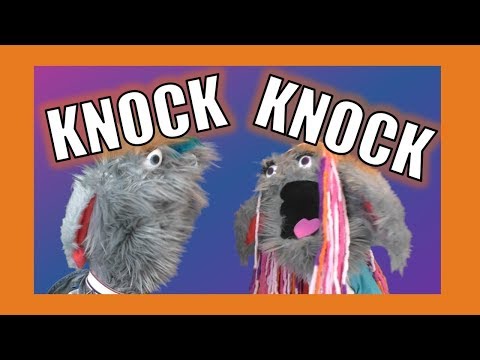 knock-knock-joke:-pyxxi-and-pyka