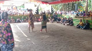 🔴 LIVE REOG KRIDO JOKO BUDOYO CEPOKO Babak Perang Cakil
