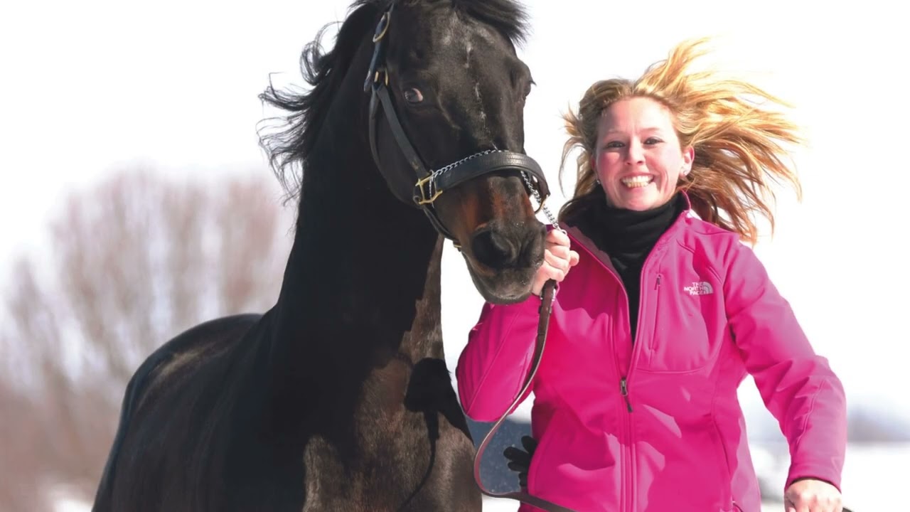 2023 AMHA Show Horse Hall of Fame - Mizrahi