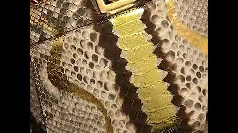 Fendi Peekabo python skin review