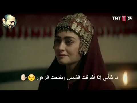 ما شانك انت من عشقي المؤلم
