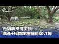 農作物受颱風影響