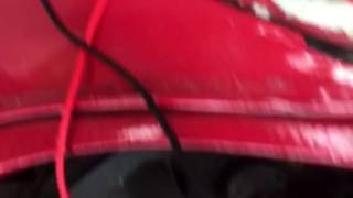 Problems with beetle dwell