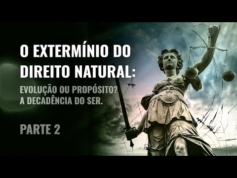 Vídeo: À beira da eutanásia, este filhote outrora sem esperança ganha uma segunda chance!