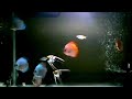 Discus Fish Tank Setup || Discus Fish Tank Mates || Fish Aquarium Relaxing Video || Mimo AquaVerse