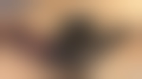 Model 29  Classic Series