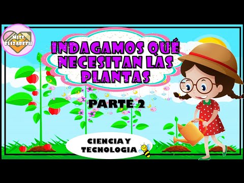 ESCRIBIMOS UN CARTEL SOBRE LOS CUIDADOS Y BENEFICIOS DE LAS PLANTAS. (16 de  octubre) - YouTube