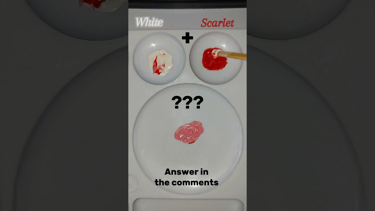 What Color Do Scarlet and White Create? 