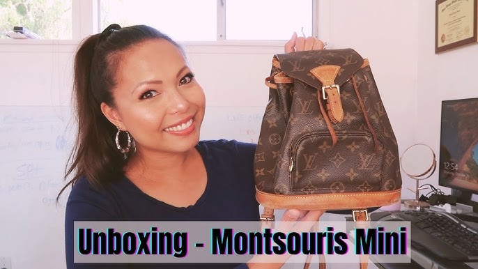 I BOUGHT ALL the Louis Vuitton Backpacks?! Tiny, Montsouris, PSM