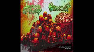 Last Days of Humanity / Pornocaust (Split) (2020 - Goregrind)
