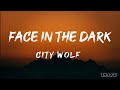 Face in the dark lyrics  city wolf ft panther