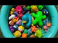 EXPLORE OCEAN ANIMAL NAMES AND FACTS| SEA ANIMAL TOYS FOR PRESCHOOLERS