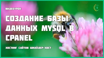 Создание базы данных MySQL в cPanel